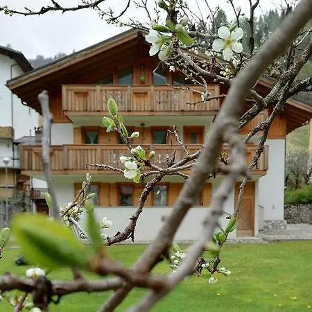 Il Tulipano Bed & Breakfast San Pietro di Cadore