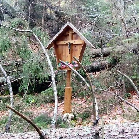 Il Tulipano Bed & Breakfast *