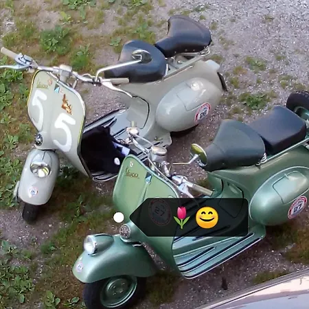 Il Tulipano * سان بيترو دي كادوري