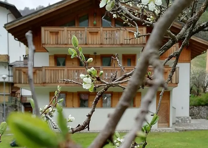 Il Tulipano Frühstückspension San Pietro di Cadore