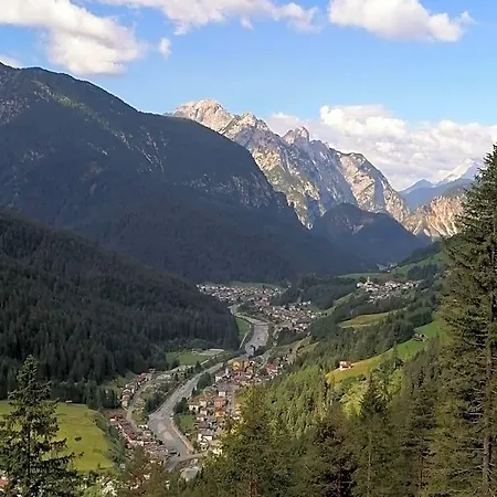 Il Tulipano *