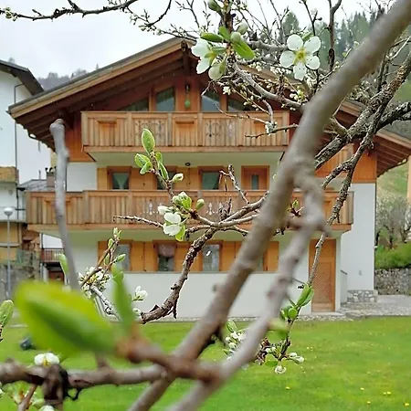 Il Tulipano Bed & Breakfast *