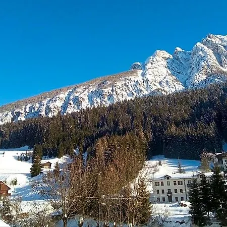 Il Tulipano * San Pietro di Cadore