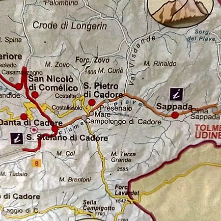 Il Tulipano