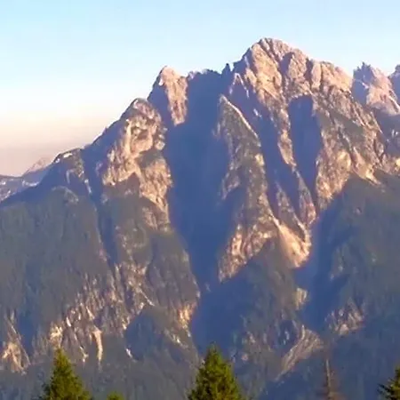 Il Tulipano Bed & Breakfast