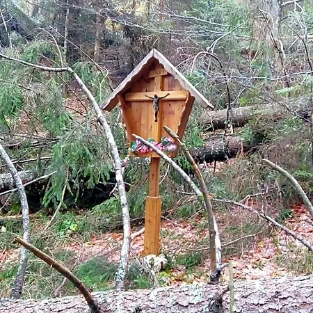 Il Tulipano *
