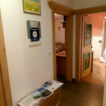 Il Tulipano