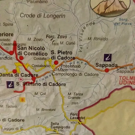 Il Tulipano