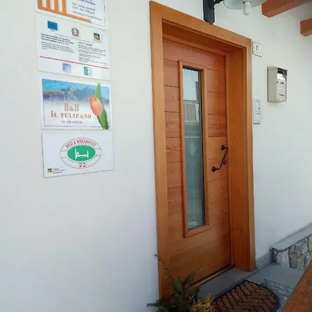 Il Tulipano فندق مبيت وإفطار سان بيترو دي كادوري