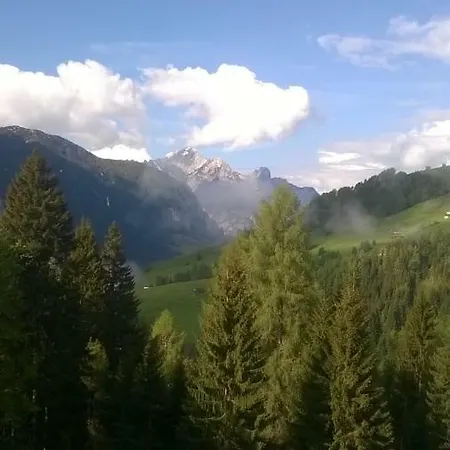 Il Tulipano