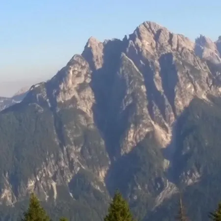 Il Tulipano *