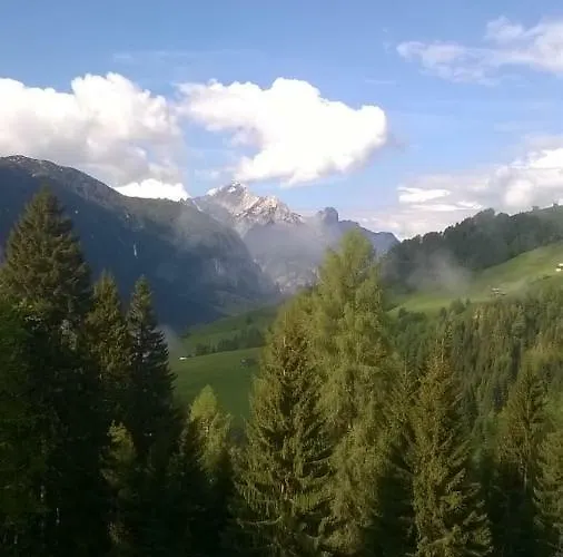 Il Tulipano