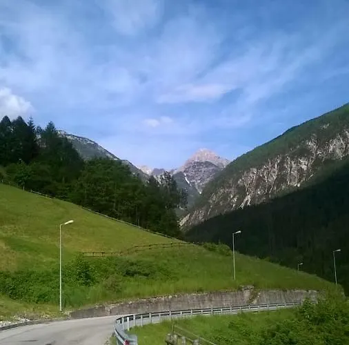Il Tulipano * San Pietro di Cadore