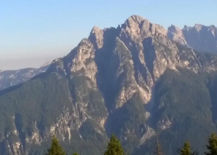 Il Tulipano *